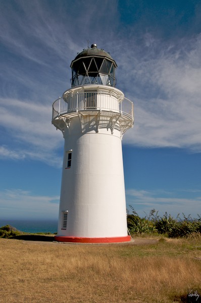 New Zealand 09 10  105